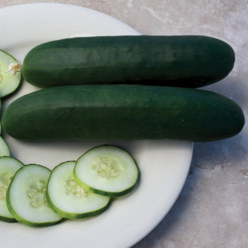 3.5 inch Slicemore Cucumber