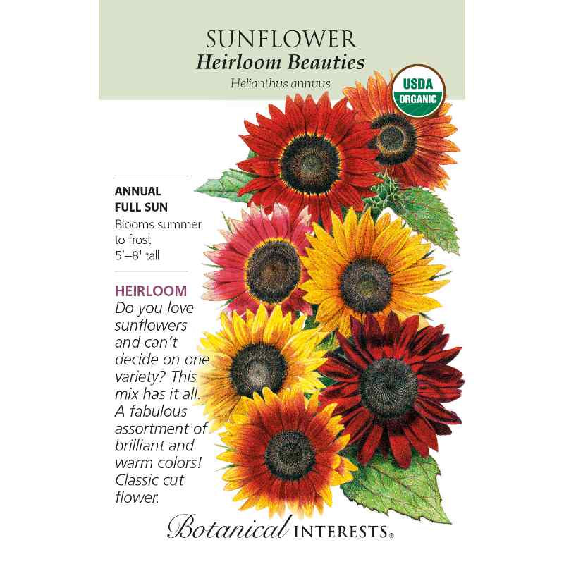 image of seed packet with drawings of several large sunflower blooms in colors of yellow red and orange.  logo and seed info in black type.  USDA organic logo in upper right corner